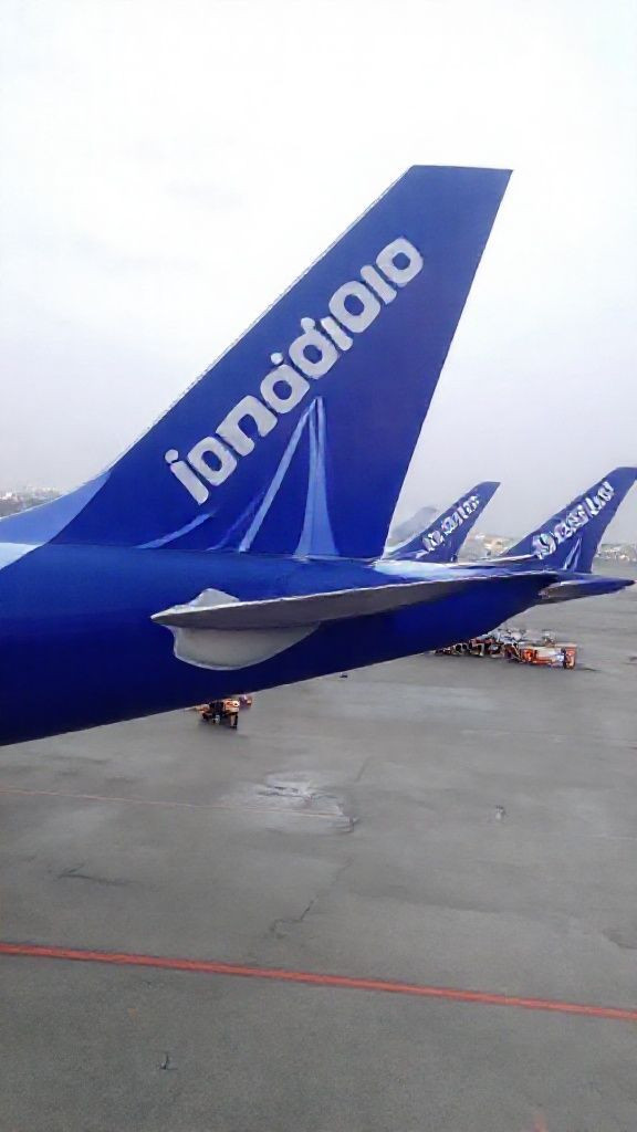 IndiGo operations back by February 10