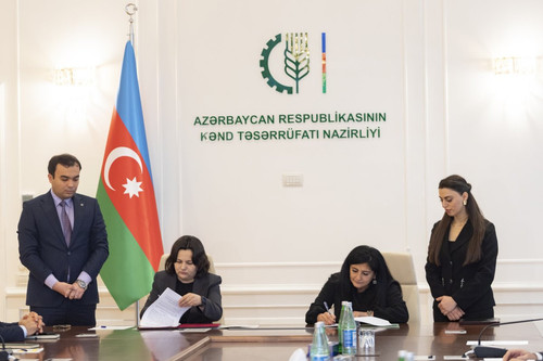 G7ZLIY2XMAAH2oG.jpg