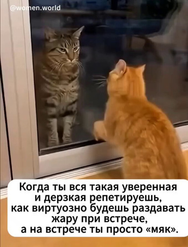 vtdgbHIWvoM63AW4.jpg