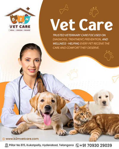 What Does Complete Vet Care Include for Your Pet?.jpg