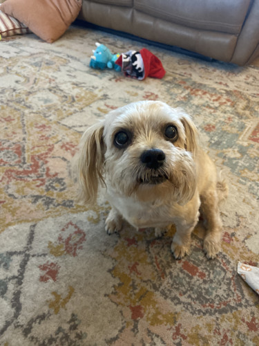 af2e7ec6 47df 4597 9965 1fdb9a001161.jpg