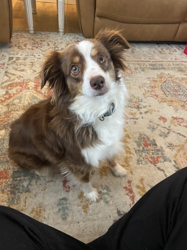 b3b47b55 2eef 4480 a97d 4a339a26394b.jpg