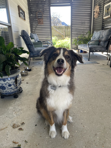 a9c12a6a 5760 4f2e 8105 c8207b522a52.jpg