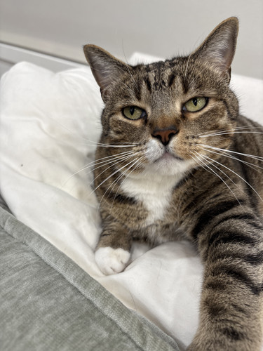 dd138a77 6f4e 4a2a ac11 fcf7a6fccc3f.jpg