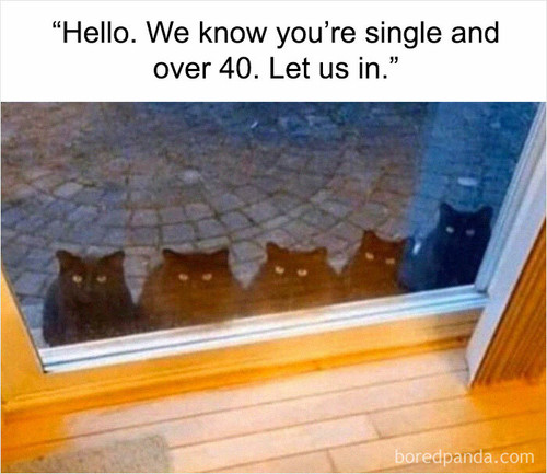 9 64f0861d7f2e4 700.jpg