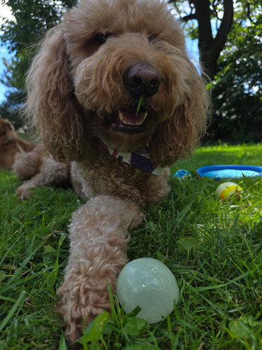 df78d287 07e2 4172 887a bc87ded70246.jpg