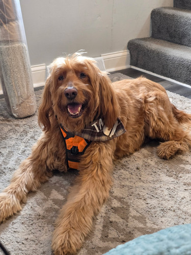 a95a338e 4996 4319 a8a2 0b0a2c2b4757.jpg