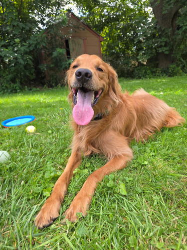 d804835d 5bcf 4e0a 8c83 b5c380d78ada.jpg