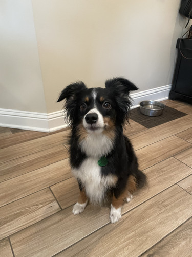 3bc02002 ede5 44e7 a5b1 bc5b45f23ba7.jpg