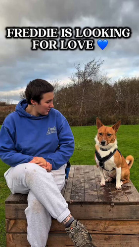 hobqG7jCJp ufIy .jpg