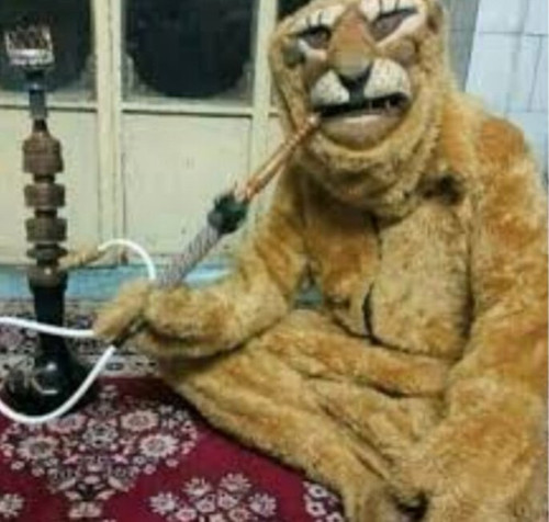 G7bgEyqWcAAfF4g.jpg
