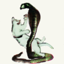 6dfecab24442.png