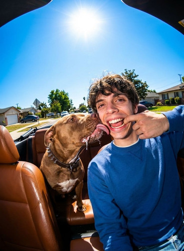 PROMPT DOG RIDE.jpg