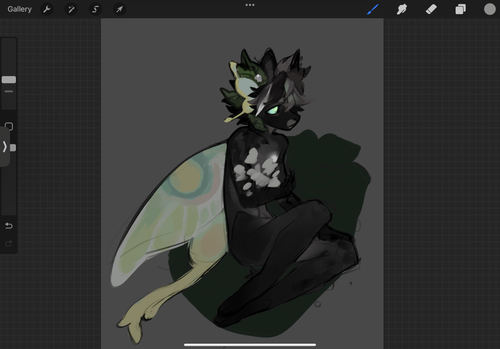 IMG 1693.png