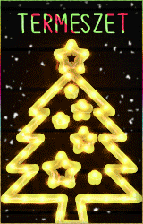 4.gif