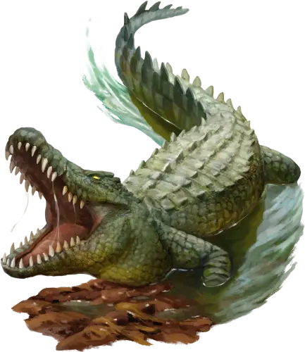 Crocodile.webp