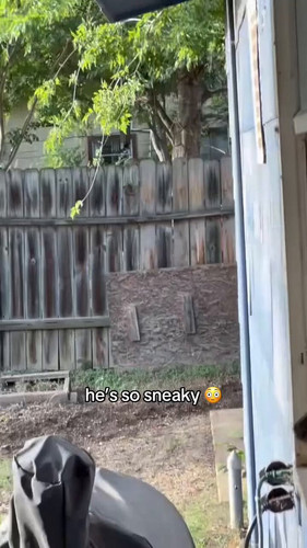 Quv1DkBfxSBLQZCI.jpg