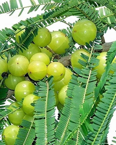 620f608f 55db 49ff 9bc5 1cc9fbd7.jpg