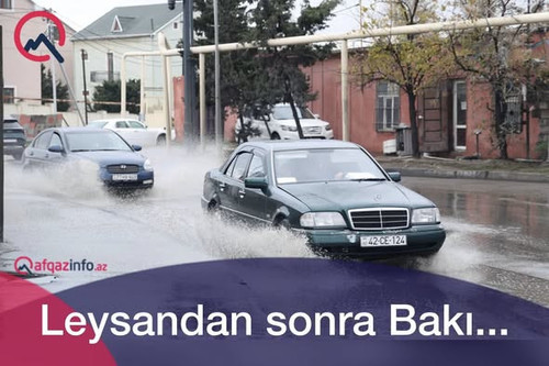 595653961 1286372356860710 7894404636765617436 n.jpg?stp=cp6 dst jpg s590x590 tt6& nc cat=110&ccb=1 .jpg