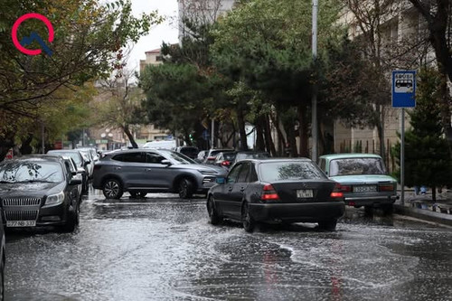 594416703 1286372380194041 8289620943918052715 n.jpg?stp=dst jpg s590x590 tt6& nc cat=102&ccb=1 7& n.jpg