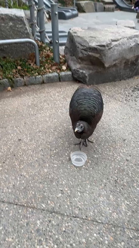 OQUjA zo9DHQMEB5.jpg