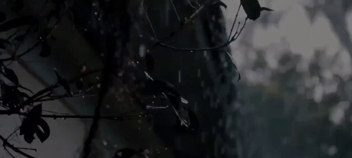 TDkWMHU02 iUk jx.jpg