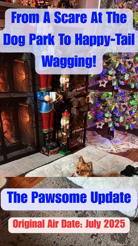 gHRqGz yPDza6S2o.jpg