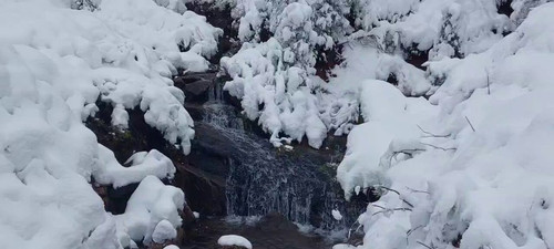 ey vd8XB1KMbYdbT.jpg