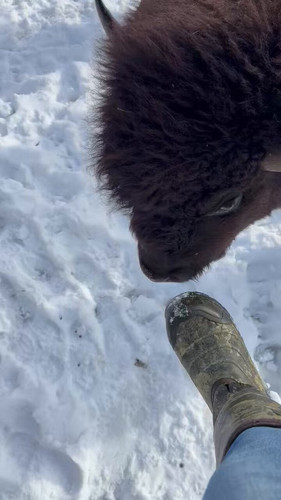 B tufUNS9gBxCU2o.jpg