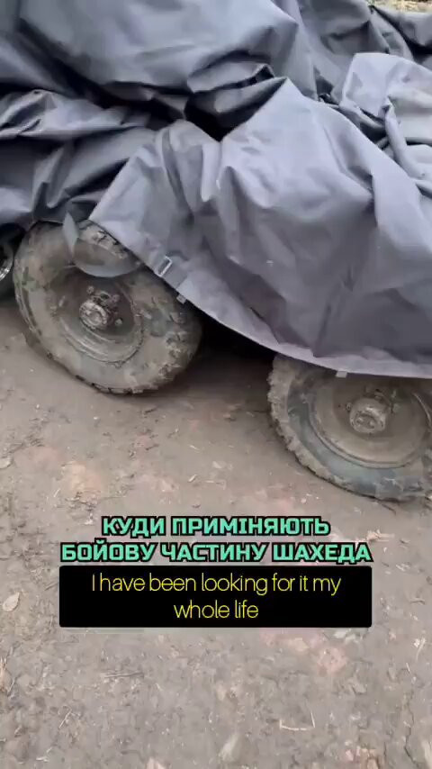 kx04Zno c9P5 R54.jpg