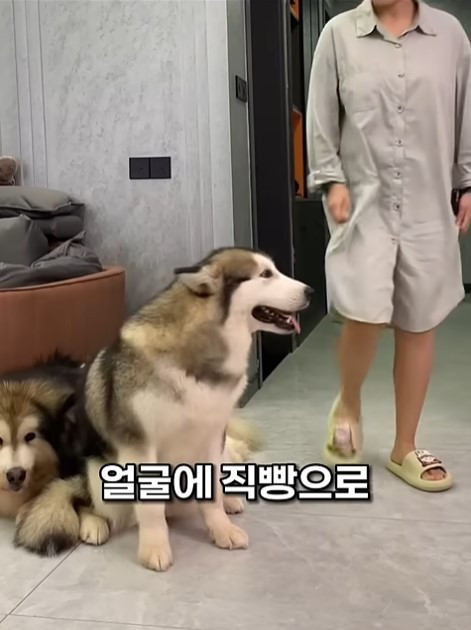 화면 캡처 2025 12 06 150446.jpg