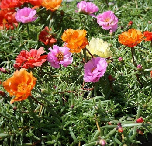 71b5b0J0T5L. AC UF1000,1000 QL80.jpg