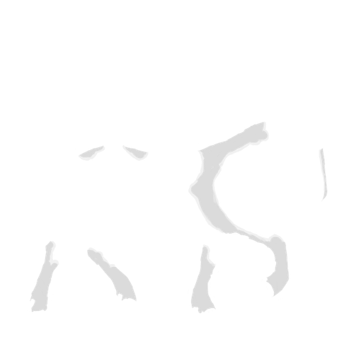 IMG 3036.png