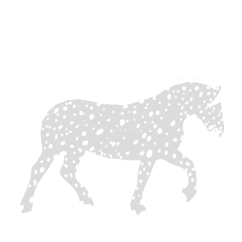 IMG 3035.png