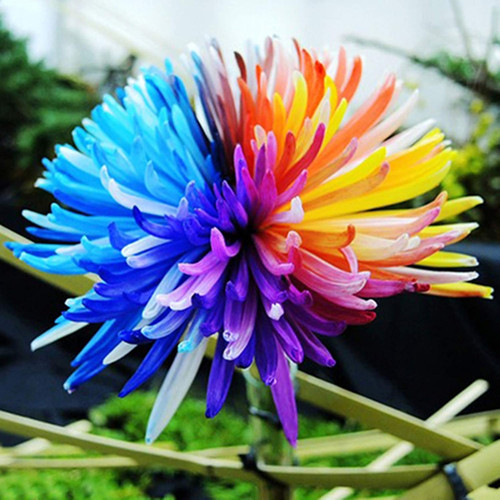 71AHwjAXoaL. AC SL1500 .jpg