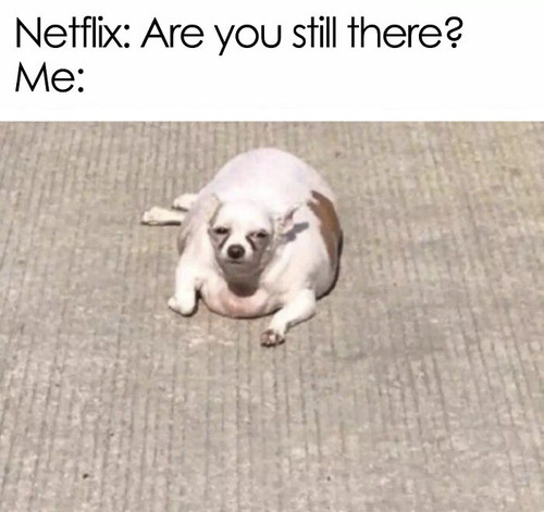 11313 606b23dfd33b0 png 700.jpg