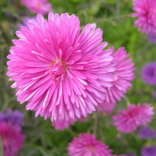 61RUnGEI0iL. AC SL1001 .jpg