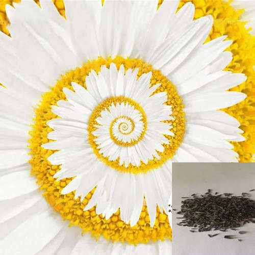 7189ZKh2ifL. AC SL1500 .jpg