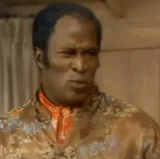 IMG 4522.gif