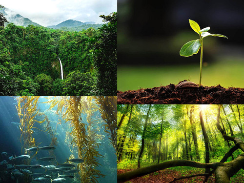 ' Glorified is  Allaah-God ,  The All-Mighty Creator '.jpg