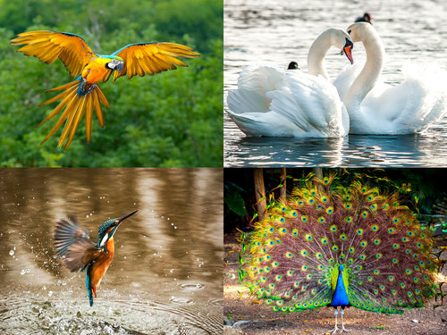 ' Glorified is  Allaah-God ,  The All-Mighty Creator '.jpg