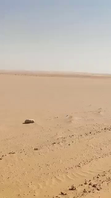 4t57fDMahdL9ue4g.jpg