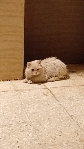G7am0 iXQAAugj4.jpg