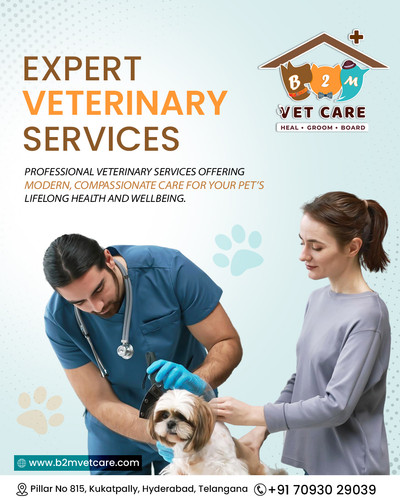 What are Expert Veterinary Services for Complete Pet Care?.jpg