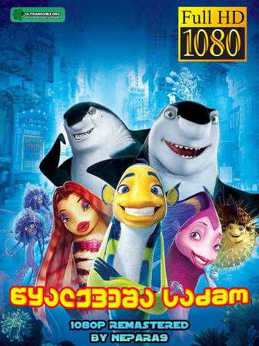 Shark Take 2004 COVER FIX