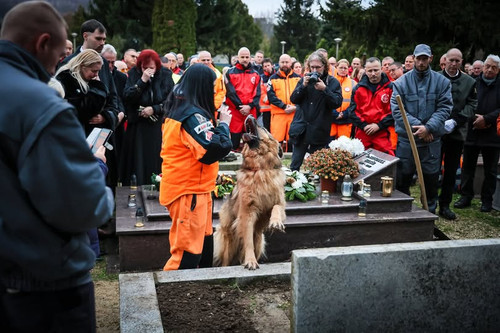 594804139 1307962464701294 6031241292895016274 n.jpg?stp=dst jpg p180x540 tt6& nc cat=107&ccb=1 7& n.jpg