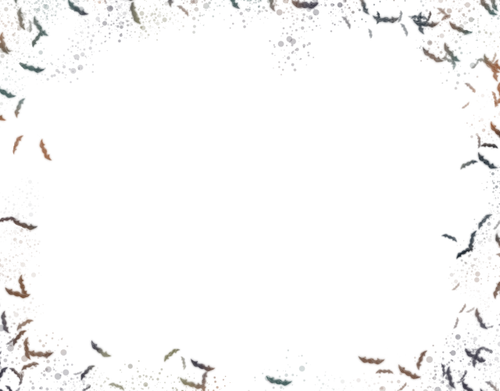 Untitled454 20251205192225.png