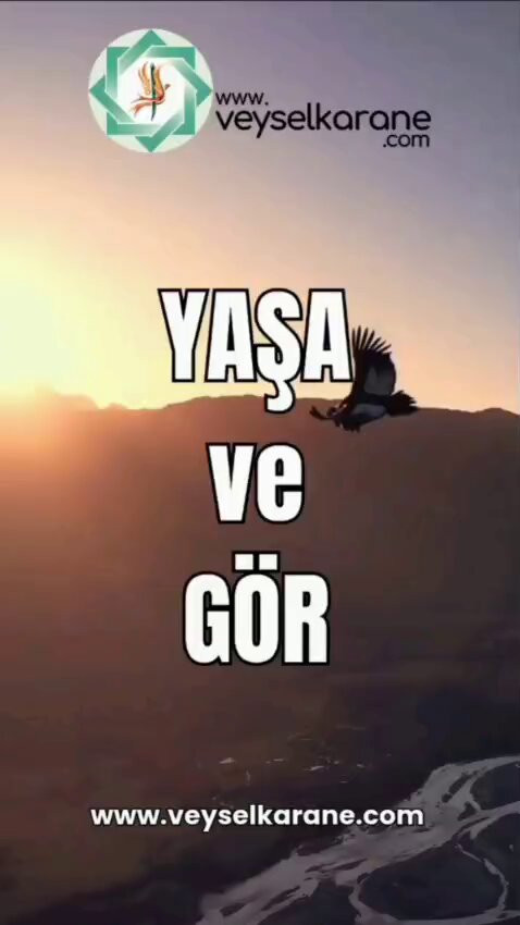 C6nlZr7KIfxM1Ril.jpg