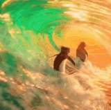 ezgif 56d85759fb03358c.gif
