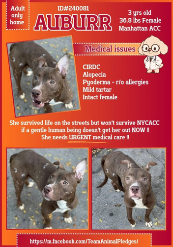 G4 9excbwAAfLmP?format=jpg.jpg